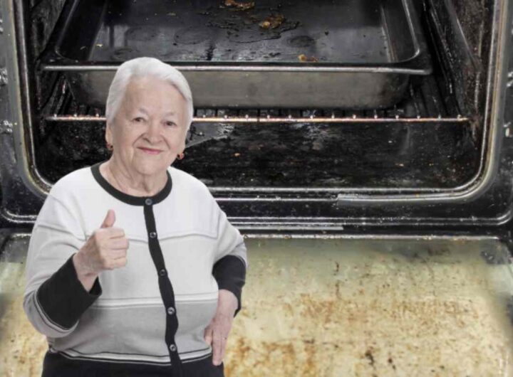 Molte persone procrastinano la pulizia del forno, spaventate dall’idea di un compito che sembra arduo e dispendioso in termini di tempo.
