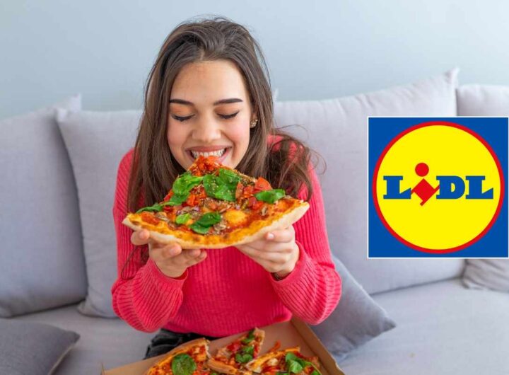 Offerta Lidl forno elettrico pizza