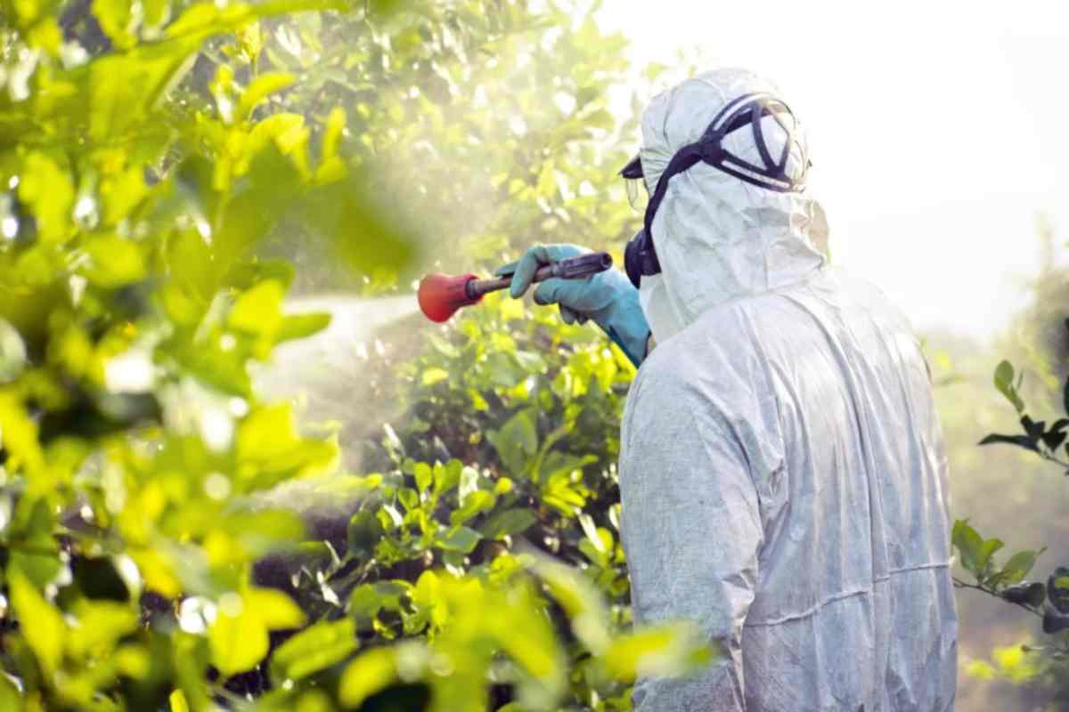 Pesticidi frutta e verdura