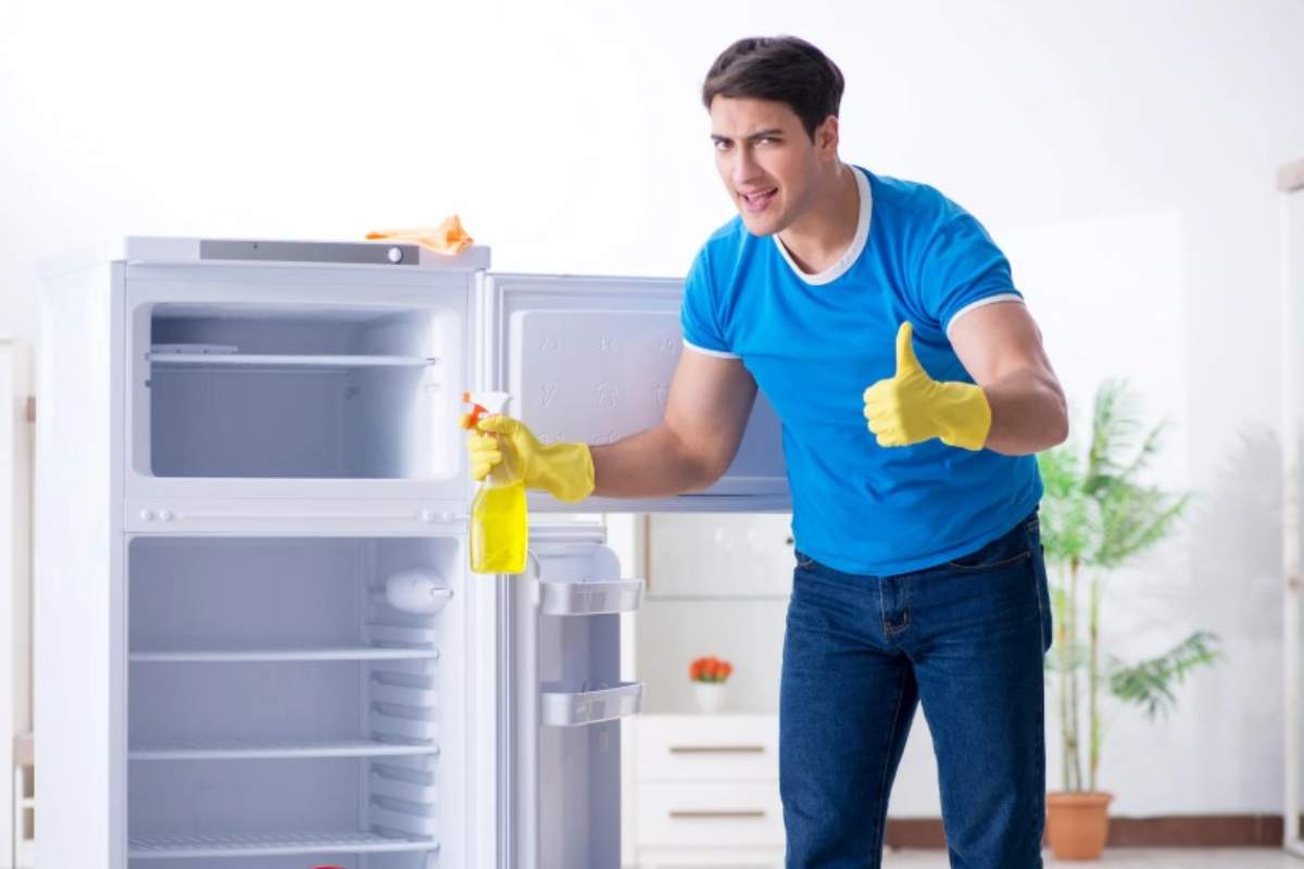 Importante pulizia frigo completa