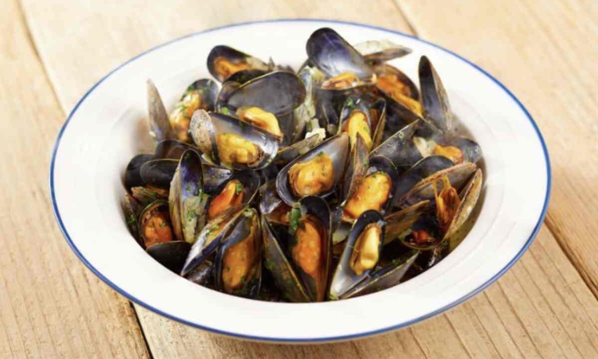 È istintivo pensare che i gusci di vongole e cozze, residui di cibo, vadano conferiti nell’umido o nella frazione organica.