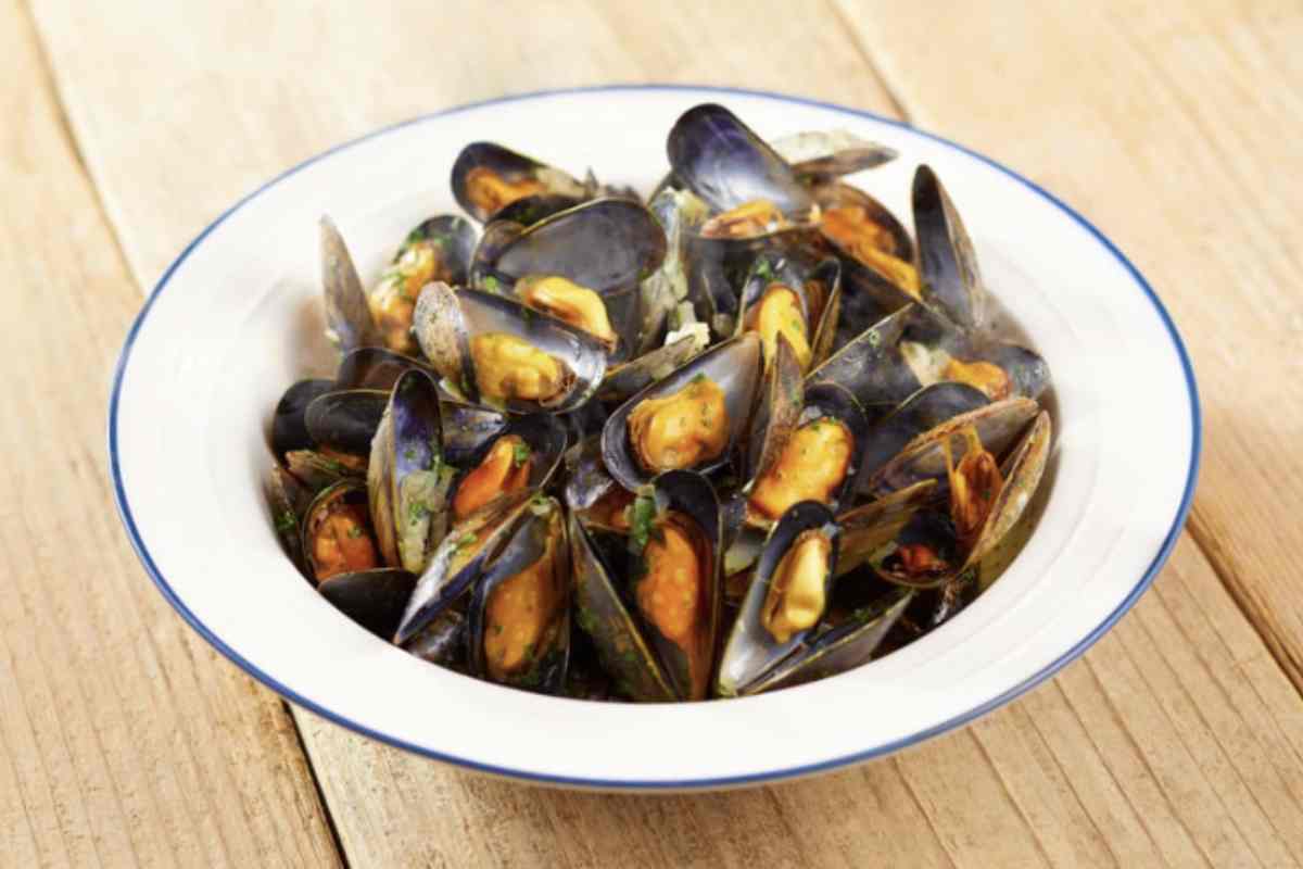 È istintivo pensare che i gusci di vongole e cozze, residui di cibo, vadano conferiti nell’umido o nella frazione organica.
