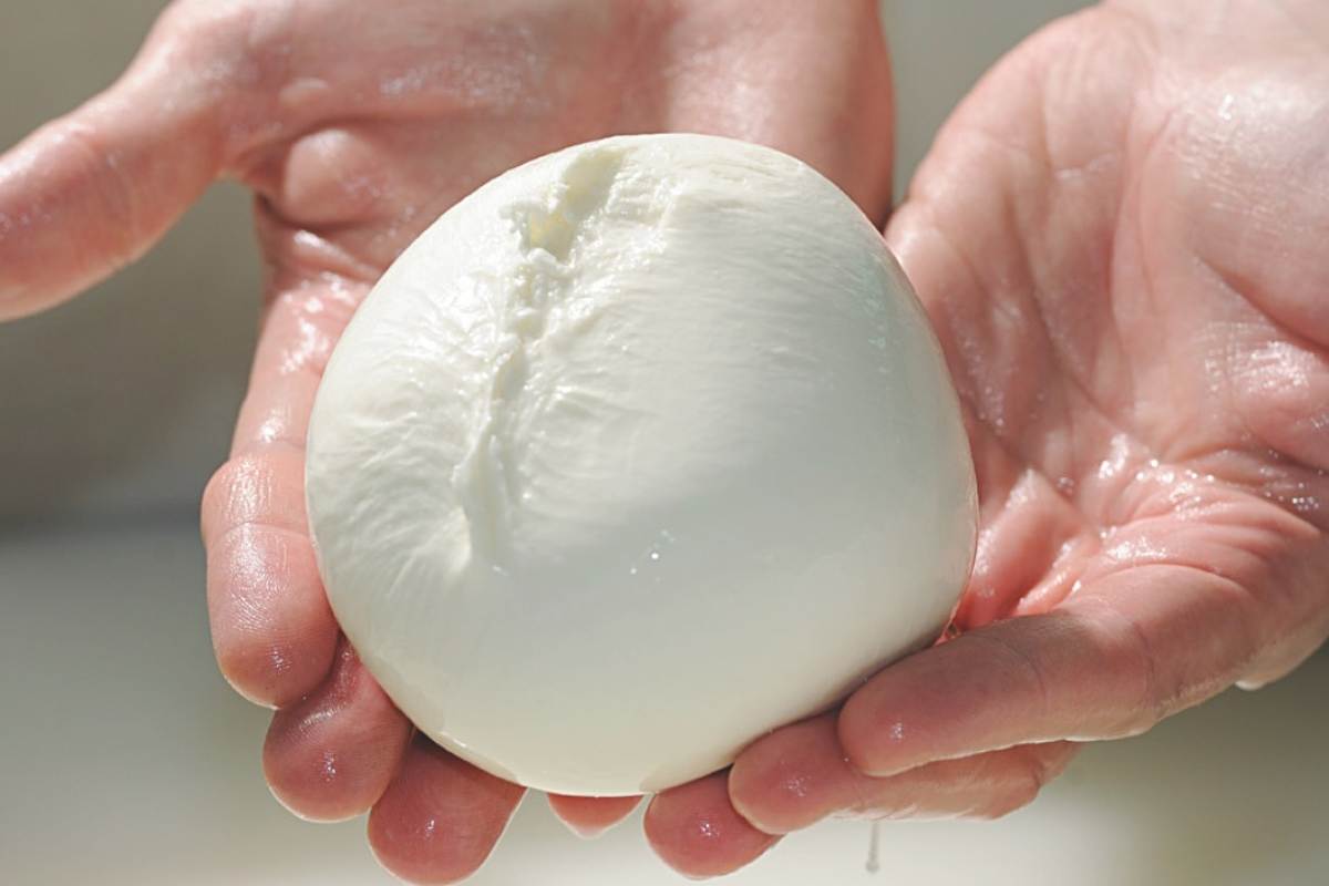 Mozzarella ecco le peggiori