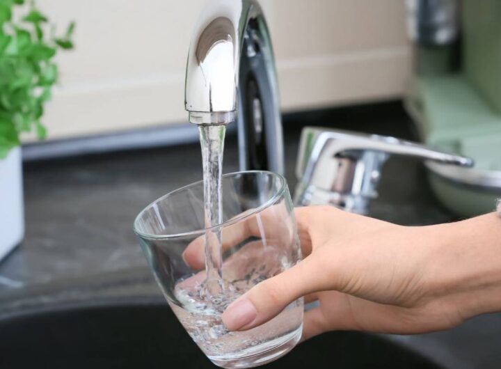 bere acqua