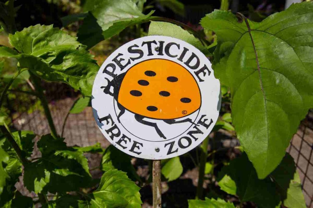quali sono i pesticidi più pericolosi