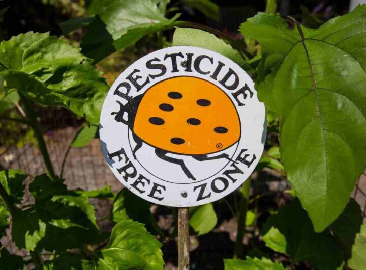 quali sono i pesticidi più pericolosi