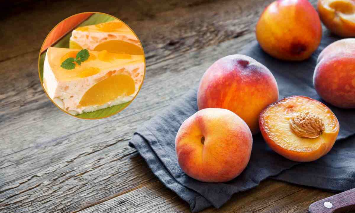 zuccotto alle pesche ricetta
