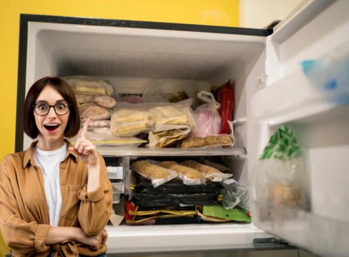 Moneta Freezer