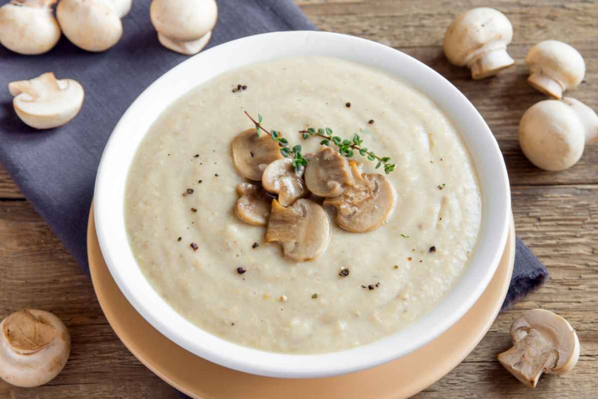 Panna crema funghi