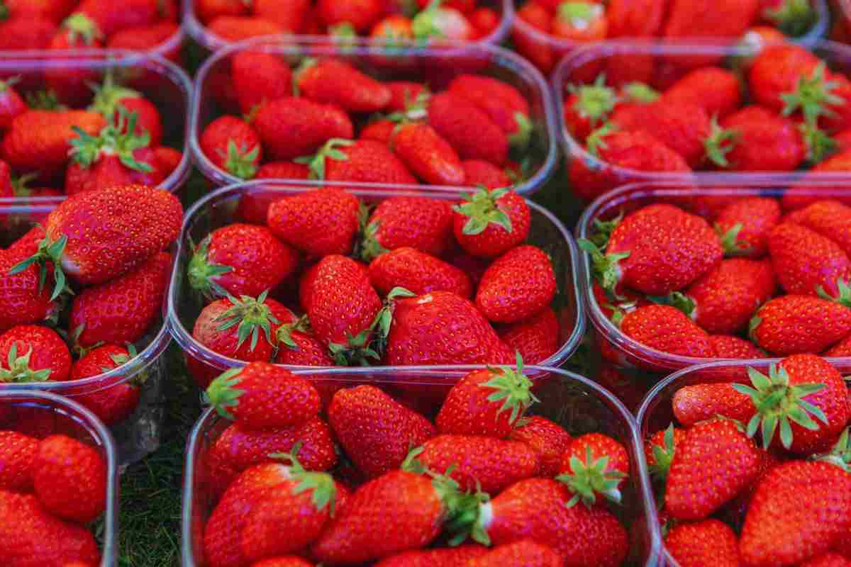 riciclare le vaschette della frutta