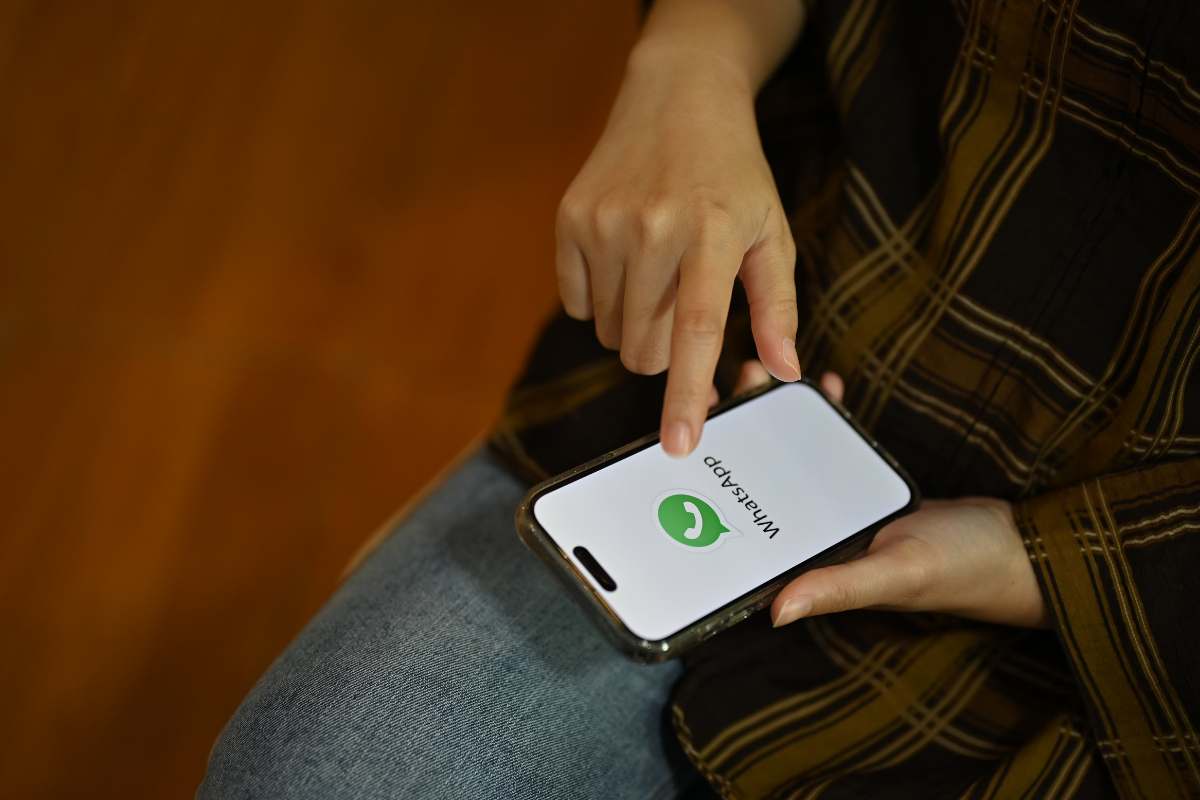 chat perse whatsapp