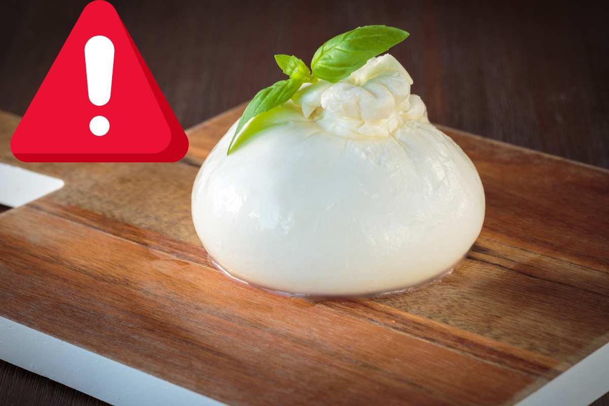 scatta allerta mozzarella