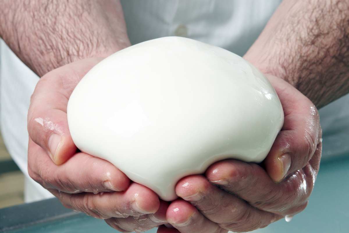 scatta allerta mozzarella