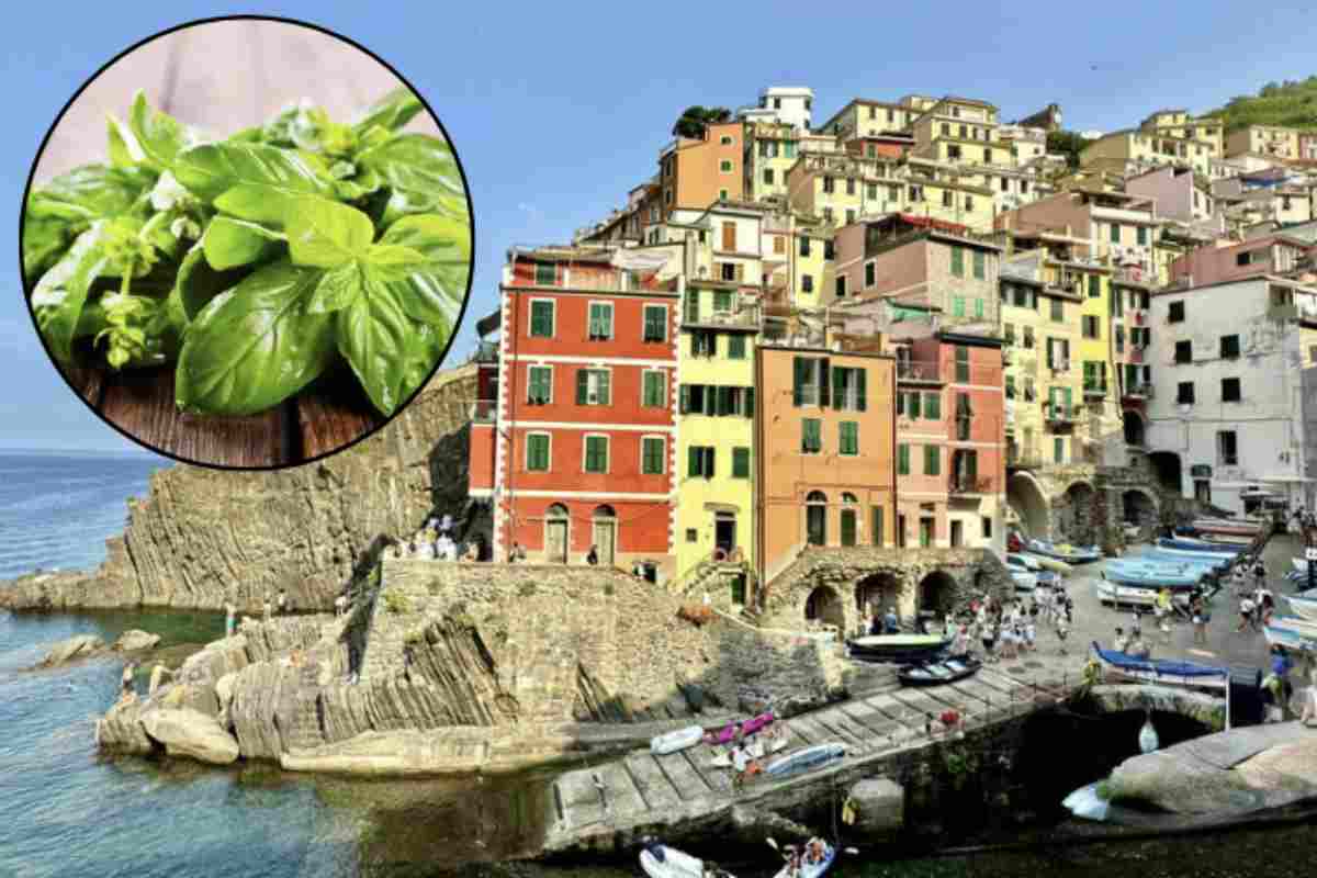 La cucina ligure è un tripudio di sapori autentici