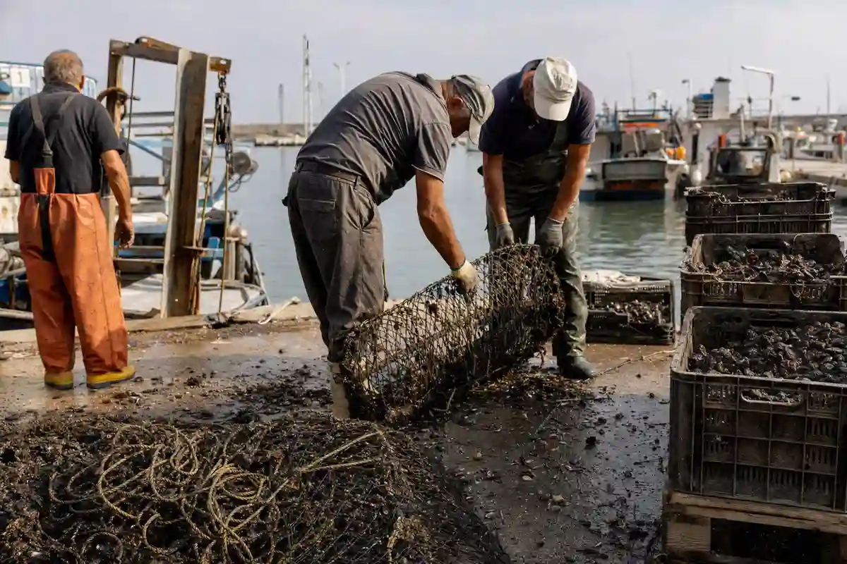 Pescatori sul molo controllano una rete di allevamento di cozze tra cassette e corde, con barche in porto sullo sfondo