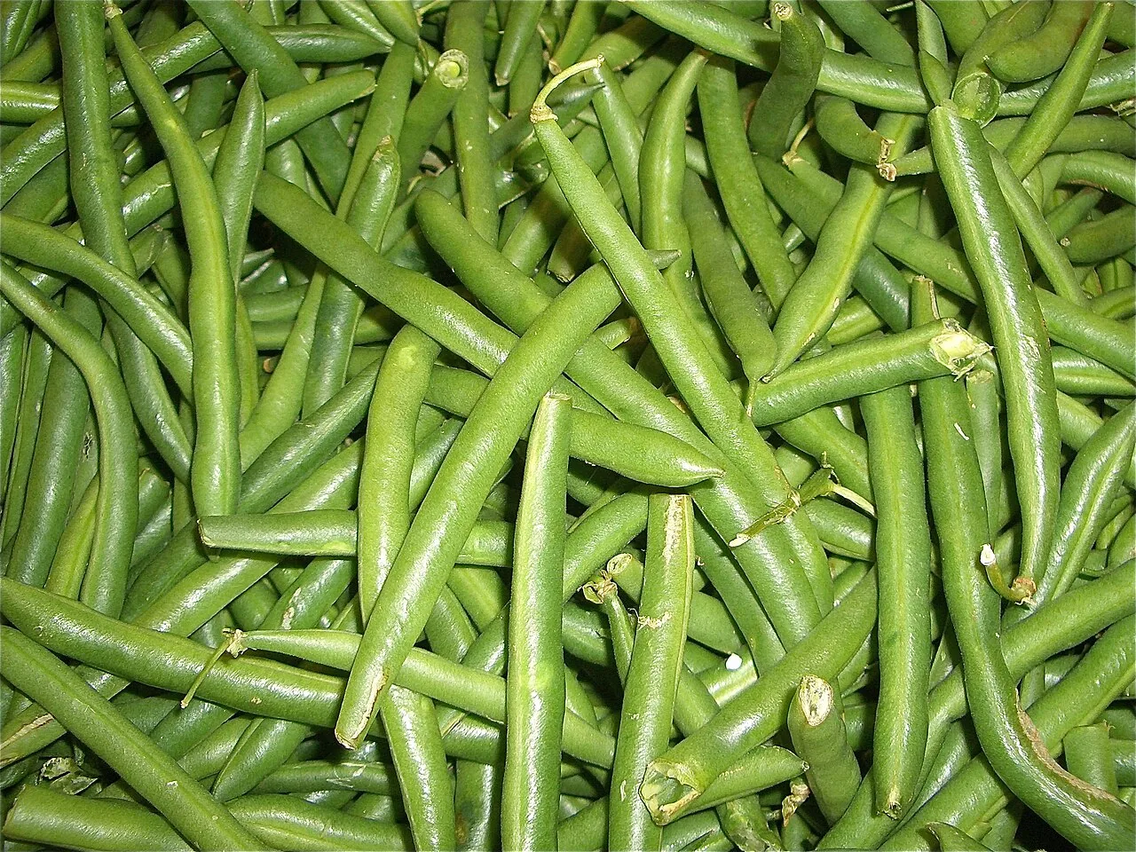 Fagiolini in pentola a pressione: pronti in 5 minuti